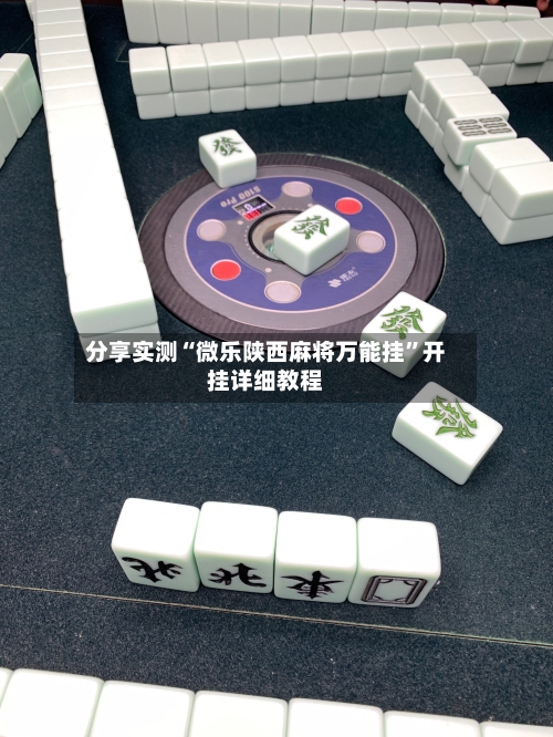 分享实测“微乐陕西麻将万能挂	”开挂详细教程-第2张图片