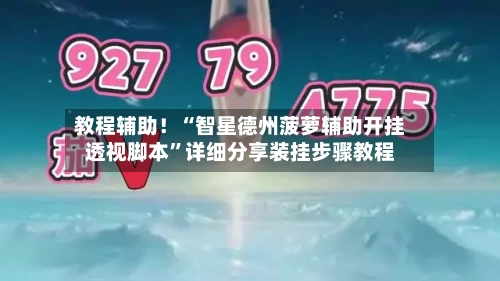 教程辅助！“智星德州菠萝辅助开挂透视脚本”详细分享装挂步骤教程-第2张图片