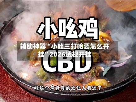 辅助神器“小吆三打哈要怎么开挂”2026透视开挂-第2张图片