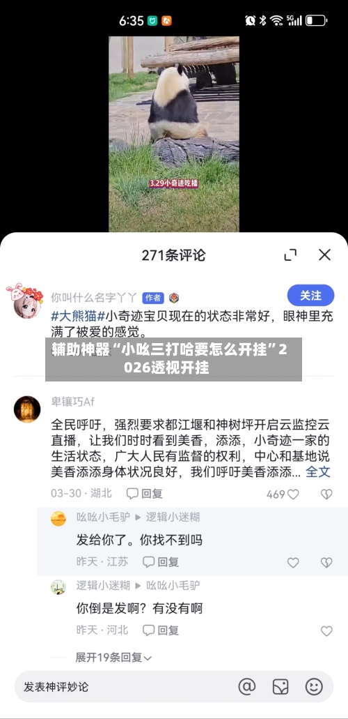 辅助神器“小吆三打哈要怎么开挂”2026透视开挂