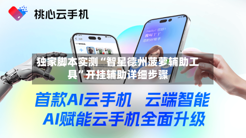 独家脚本实测“智星德州菠萝辅助工具”开挂辅助详细步骤-第3张图片