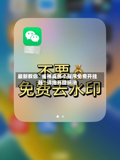 最新教你“雀神麻将小程序免费开挂器”详细开挂玩法-第3张图片