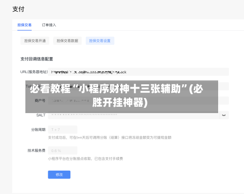 必看教程“小程序财神十三张辅助”(必胜开挂神器)-第2张图片