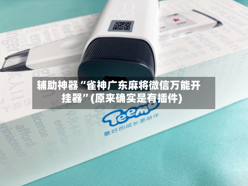 辅助神器“雀神广东麻将微信万能开挂器”(原来确实是有插件)-第2张图片