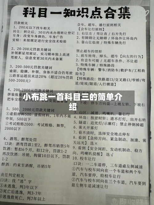 小布跳一首科目三的简单介绍-第3张图片