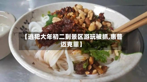 【逃犯大年初二到景区游玩被抓,惠普 迈克菲】-第2张图片