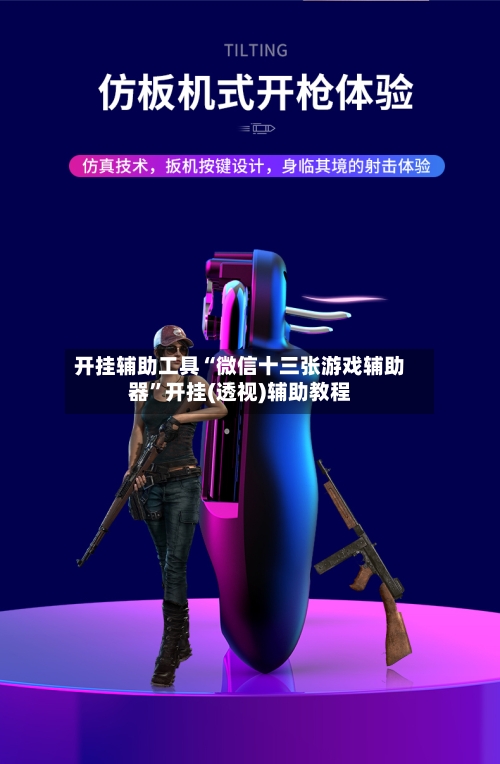 开挂辅助工具“微信十三张游戏辅助器	”开挂(透视)辅助教程-第2张图片