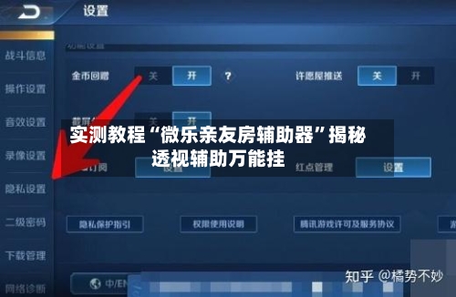 实测教程“微乐亲友房辅助器”揭秘透视辅助万能挂-第3张图片