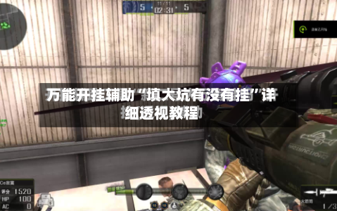 万能开挂辅助“填大坑有没有挂”详细透视教程-第2张图片