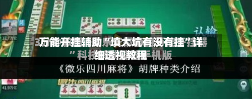 万能开挂辅助“填大坑有没有挂”详细透视教程