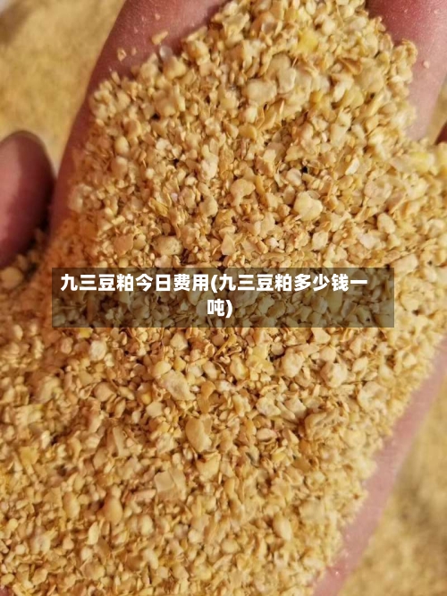 九三豆粕今日费用(九三豆粕多少钱一吨)