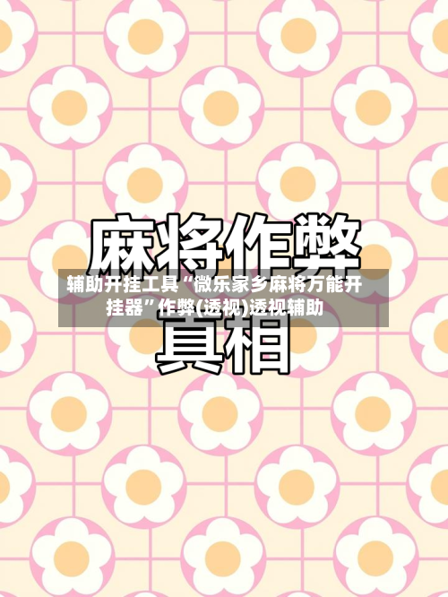 辅助开挂工具“微乐家乡麻将万能开挂器”作弊(透视)透视辅助