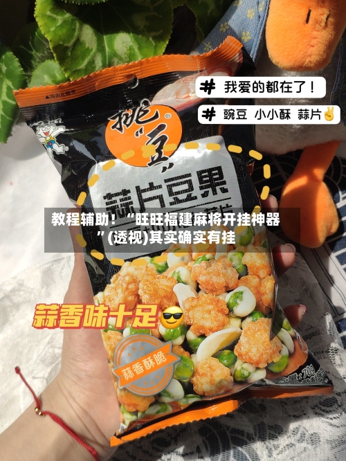 教程辅助！“旺旺福建麻将开挂神器	”(透视)其实确实有挂-第2张图片