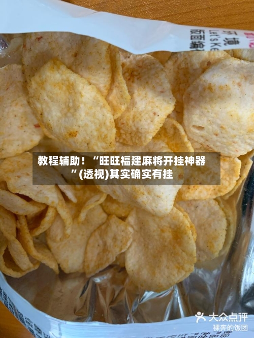 教程辅助！“旺旺福建麻将开挂神器”(透视)其实确实有挂-第3张图片