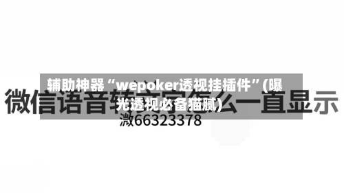 辅助神器“wepoker透视挂插件	”(曝光透视必备猫腻)-第2张图片