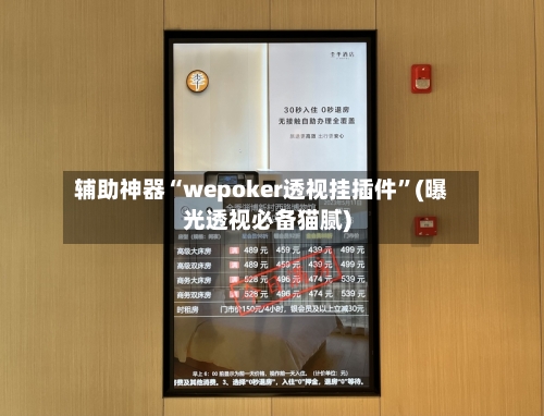 辅助神器“wepoker透视挂插件”(曝光透视必备猫腻)-第3张图片