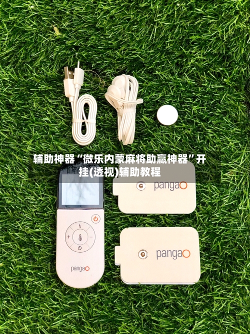 辅助神器“微乐内蒙麻将助赢神器	”开挂(透视)辅助教程-第3张图片