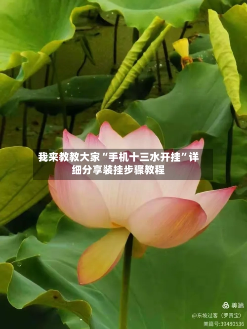 我来教教大家“手机十三水开挂	”详细分享装挂步骤教程-第3张图片