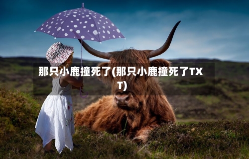 那只小鹿撞死了(那只小鹿撞死了TXT)