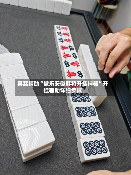 真实辅助“微乐安徽麻将开挂神器	”开挂辅助详细步骤-第3张图片