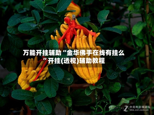 万能开挂辅助“金华佛手在线有挂么	”开挂(透视)辅助教程-第2张图片