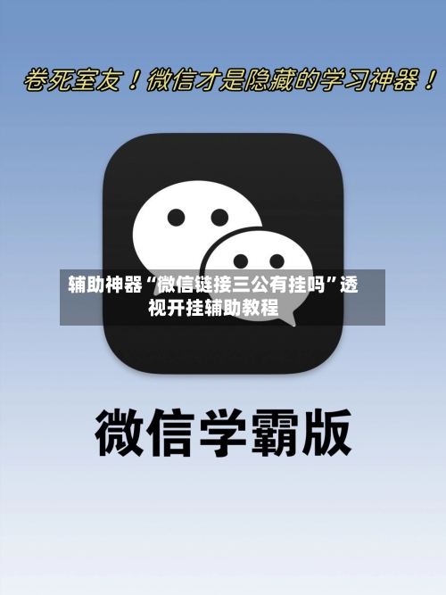 辅助神器“微信链接三公有挂吗	”透视开挂辅助教程-第2张图片