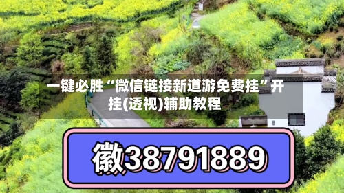 一键必胜“微信链接新道游免费挂”开挂(透视)辅助教程-第3张图片