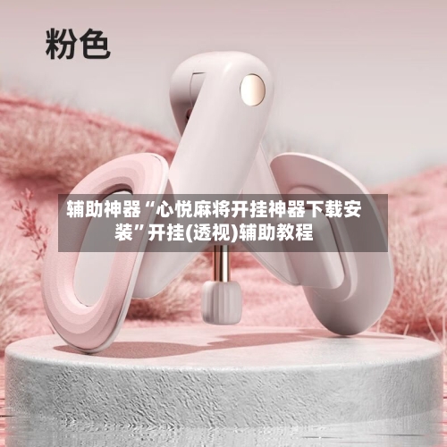 辅助神器“心悦麻将开挂神器下载安装”开挂(透视)辅助教程-第3张图片