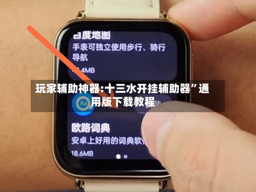 玩家辅助神器:十三水开挂辅助器”通用版下载教程-第2张图片