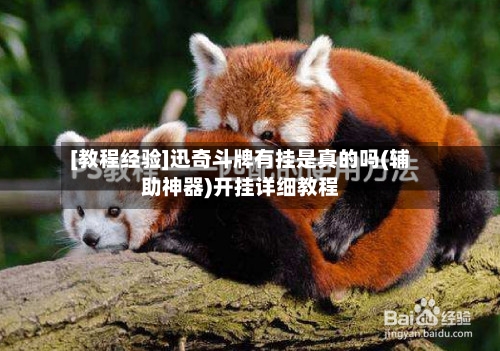 [教程经验]迅奇斗牌有挂是真的吗(辅助神器)开挂详细教程-第2张图片