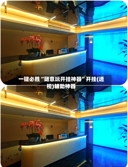 一键必胜“随意玩开挂神器”开挂(透视)辅助神器-第2张图片