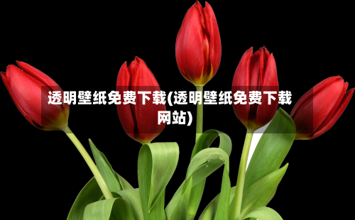 透明壁纸免费下载(透明壁纸免费下载网站)-第2张图片