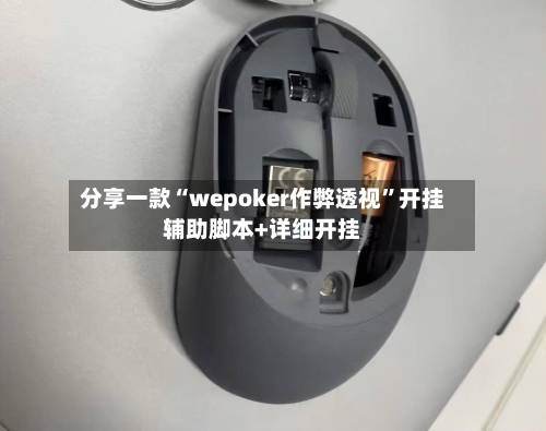 分享一款“wepoker作弊透视”开挂辅助脚本+详细开挂-第2张图片