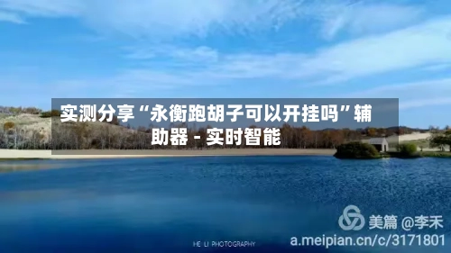 实测分享“永衡跑胡子可以开挂吗”辅助器 - 实时智能-第2张图片