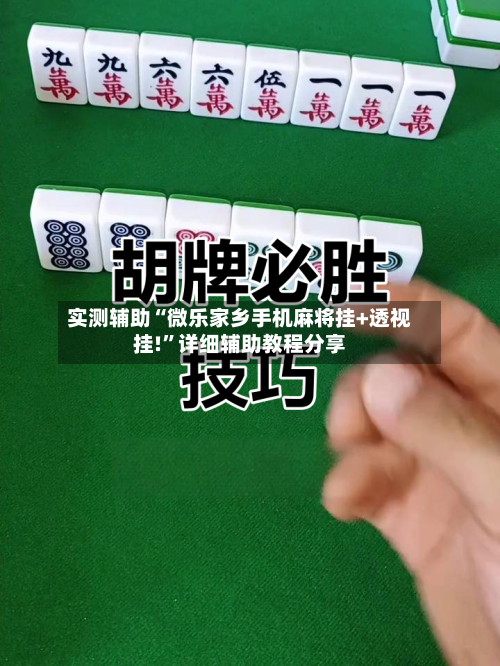 实测辅助“微乐家乡手机麻将挂+透视挂!”详细辅助教程分享-第3张图片