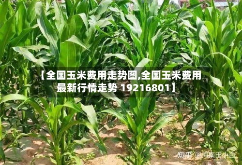 【全国玉米费用走势图,全国玉米费用最新行情走势 19216801】-第3张图片