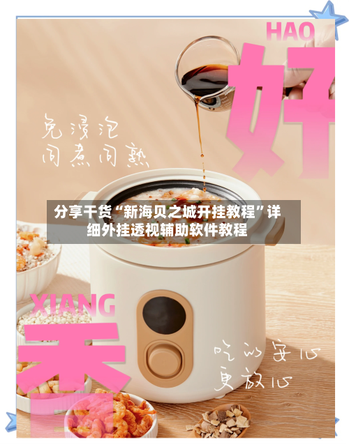 分享干货“新海贝之城开挂教程	”详细外挂透视辅助软件教程-第2张图片