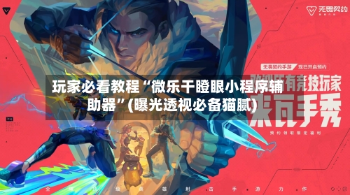 玩家必看教程“微乐干瞪眼小程序辅助器”(曝光透视必备猫腻)-第3张图片