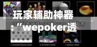 玩家辅助神器:“wepoker透视挂的优势”详细分享装挂-第3张图片