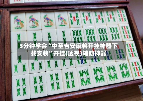 3分钟学会“中至吉安麻将开挂神器下载安装”开挂(透视)辅助神器-第3张图片