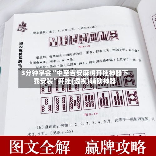 3分钟学会“中至吉安麻将开挂神器下载安装”开挂(透视)辅助神器-第2张图片