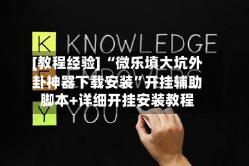 [教程经验] “微乐填大坑外卦神器下载安装”开挂辅助脚本+详细开挂安装教程-第3张图片