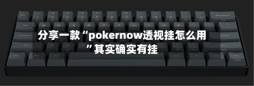 分享一款“pokernow透视挂怎么用”其实确实有挂-第2张图片