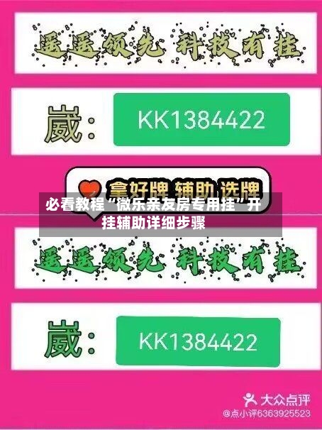 必看教程“微乐亲友房专用挂”开挂辅助详细步骤-第3张图片