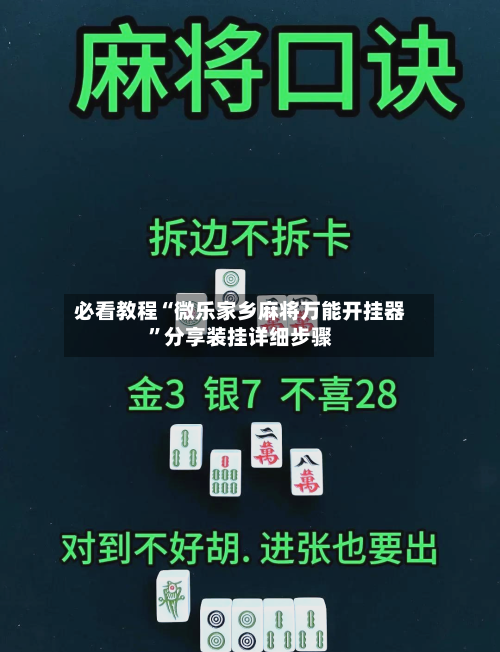 必看教程“微乐家乡麻将万能开挂器”分享装挂详细步骤-第2张图片