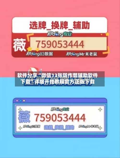 软件分享“微信13张防作弊辅助软件下载”详细开挂教程官方正版下载