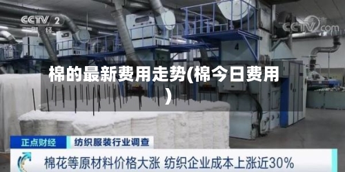 棉的最新费用走势(棉今日费用)-第3张图片