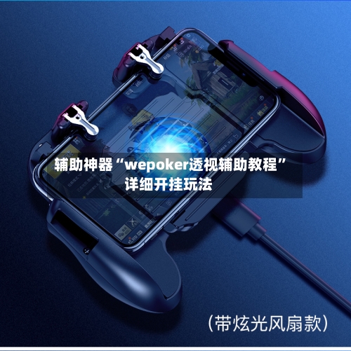 辅助神器“wepoker透视辅助教程”详细开挂玩法