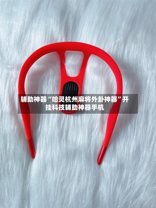 辅助神器“哈灵杭州麻将外卦神器”开挂科技辅助神器手机-第3张图片