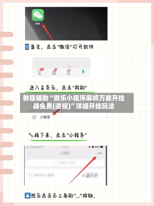 教程辅助“微乐小程序麻将万能开挂器免费(透视)”详细开挂玩法-第2张图片